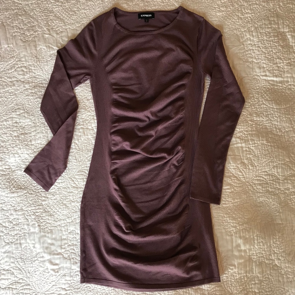 NWOT Express Long Sleeve Ruched Dress, Medium, Purple